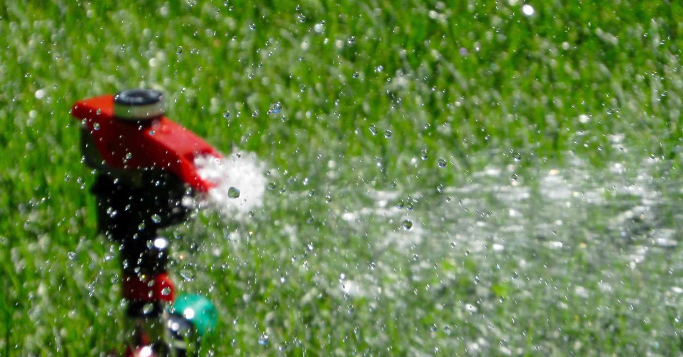 Recover Your Texas Lawn From The Summer Heat
