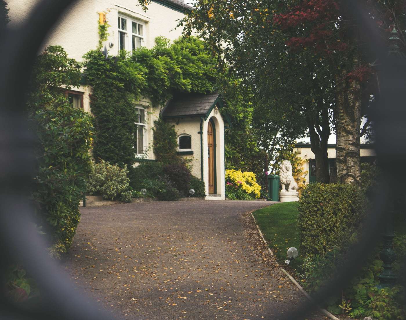 The Most Common Texas Landscaping Mistakes