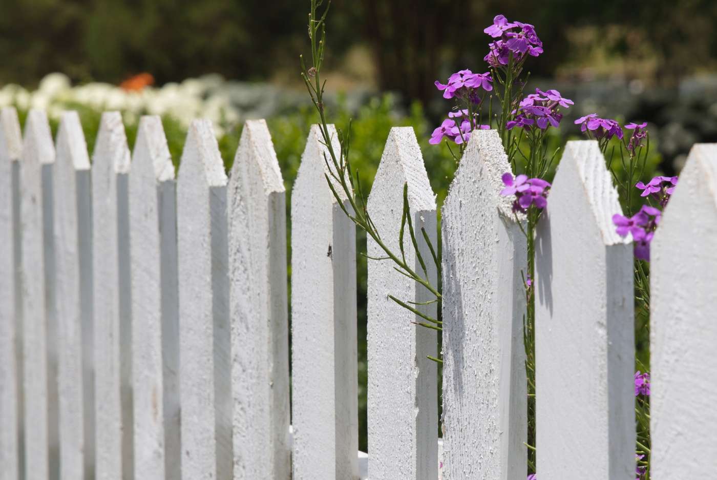 The Most Common Texas Landscaping Mistakes